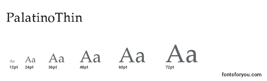 PalatinoThin Font Sizes