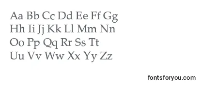 PalatinoThin-fontti