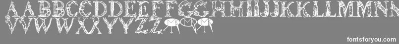 Lettersanimales Font – White Fonts on Gray Background