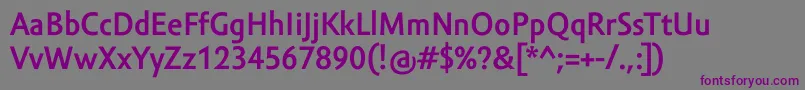 AmorSansProBold Font – Purple Fonts on Gray Background