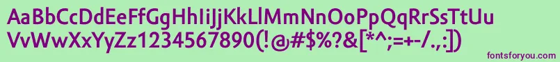 AmorSansProBold Font – Purple Fonts on Green Background