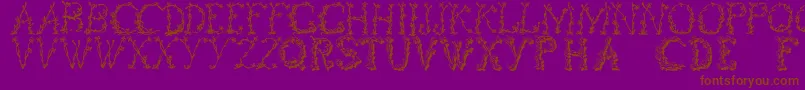 Floraltwo Font – Brown Fonts on Purple Background