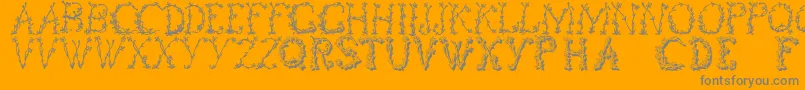 Floraltwo Font – Gray Fonts on Orange Background