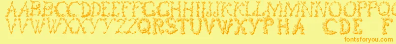 Floraltwo Font – Orange Fonts on Yellow Background