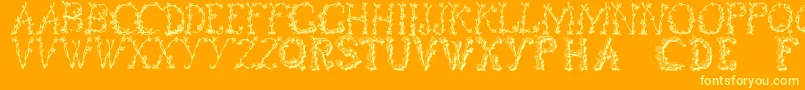 Floraltwo Font – Yellow Fonts on Orange Background