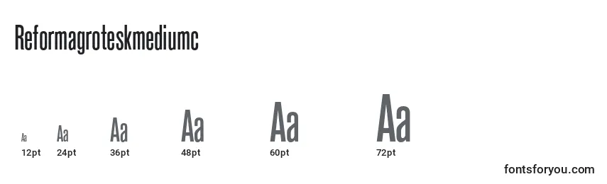 Reformagroteskmediumc Font Sizes