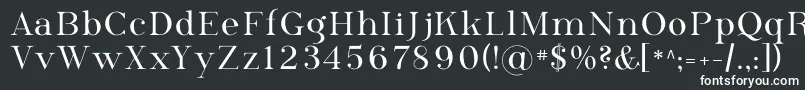 フォントPhosph09 – 白い文字