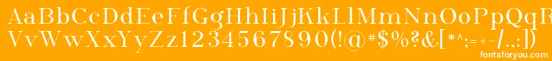 フォントPhosph09 – オレンジの背景に白い文字