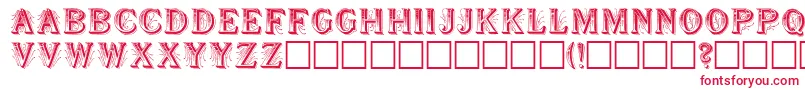 ShowboatRegular Font – Red Fonts on White Background