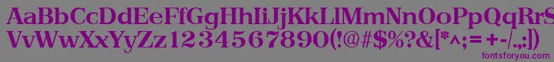 Шрифт PriamosBold – фиолетовые шрифты на сером фоне