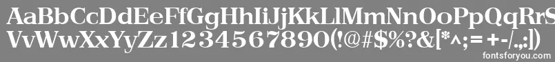 Шрифт PriamosBold – белые шрифты на сером фоне