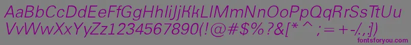AGroticltItalic Font – Purple Fonts on Gray Background
