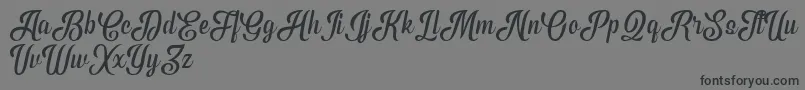 PhytonScriptDemo-Schriftart – Schwarze Schriften auf grauem Hintergrund