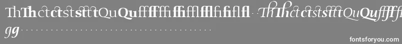 Czcionka OldstyleflourishesRegular – białe czcionki na szarym tle