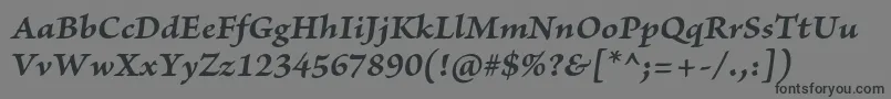 Шрифт BriosoproBolditcapt – чёрные шрифты на сером фоне