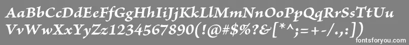More about BriosoproBolditcapt Font BriosoproBolditcapt Font – White Fonts on Gray Background