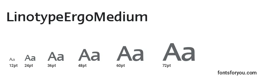 Размеры шрифта LinotypeErgoMedium