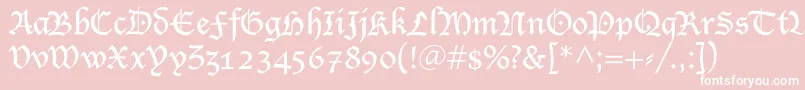 SaintgermainBlack Font – White Fonts on Pink Background