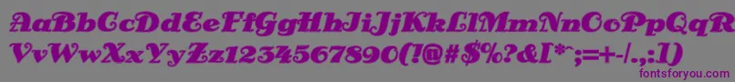 DsSienaOutline Font – Purple Fonts on Gray Background