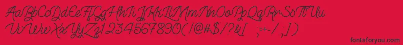 TheIllusionOfBeautyOtf Font – Black Fonts on Red Background