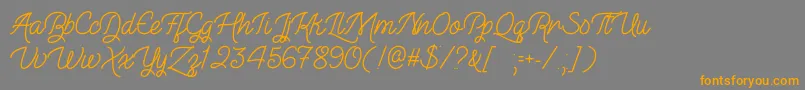 TheIllusionOfBeautyOtf Font – Orange Fonts on Gray Background