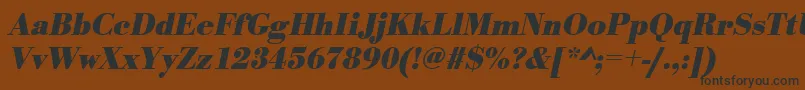 UrwbodonitnarBoldOblique Font – Black Fonts on Brown Background