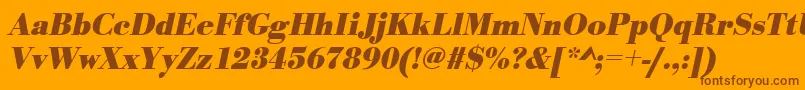 UrwbodonitnarBoldOblique Font – Brown Fonts on Orange Background