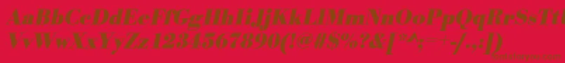 UrwbodonitnarBoldOblique Font – Brown Fonts on Red Background