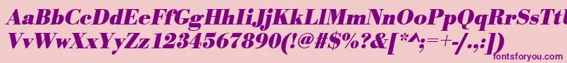 UrwbodonitnarBoldOblique Font – Purple Fonts on Pink Background