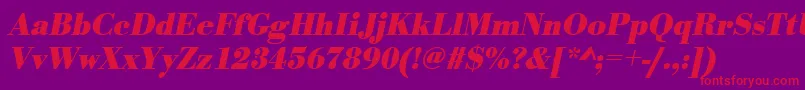 UrwbodonitnarBoldOblique Font – Red Fonts on Purple Background