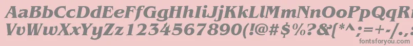 ItcBenguiatBoldItalic Font – Gray Fonts on Pink Background
