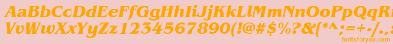 ItcBenguiatBoldItalic Font – Orange Fonts on Pink Background