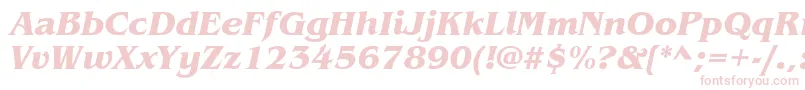 ItcBenguiatBoldItalic Font – Pink Fonts on White Background