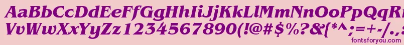 ItcBenguiatBoldItalic Font – Purple Fonts on Pink Background