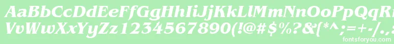 ItcBenguiatBoldItalic Font – White Fonts on Green Background