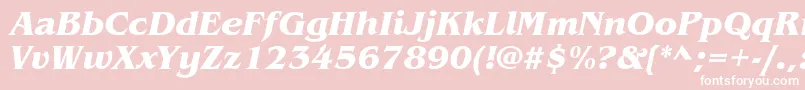 ItcBenguiatBoldItalic Font – White Fonts on Pink Background