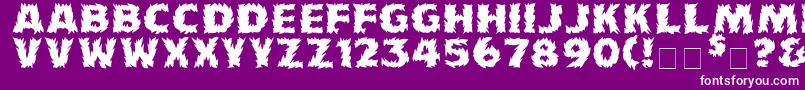 Firecat Font – White Fonts on Purple Background