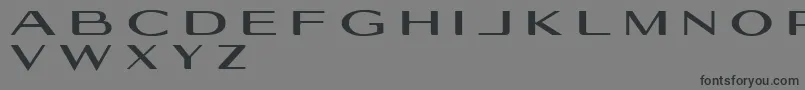 Geogiquas Font – Black Fonts on Gray Background