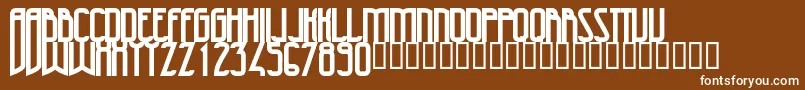 47Bold Font – White Fonts on Brown Background