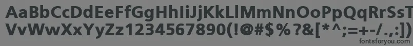 フォントPfcatalogBlackUnicode – 黒い文字の灰色の背景