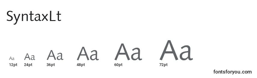 Размеры шрифта SyntaxLt