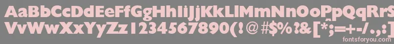 GillionblackdbNormal Font – Pink Fonts on Gray Background