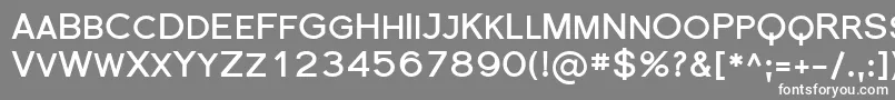 フォントFlorsn18 – 灰色の背景に白い文字