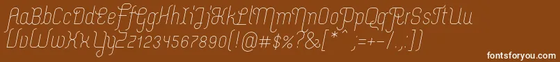 MerijntjeLightitalic Font – White Fonts on Brown Background