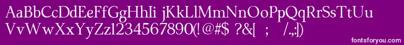 Moderataserif Font – White Fonts on Purple Background