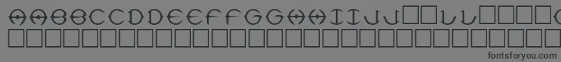 フォントDelphi – 黒い文字の灰色の背景