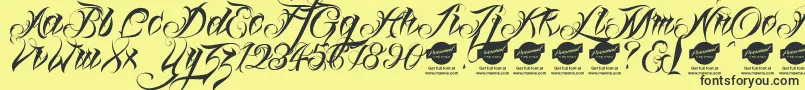 Linascriptdemo Font – Black Fonts on Yellow Background