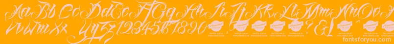 Linascriptdemo-Schriftart – Rosa Schriften auf orangefarbenem Hintergrund