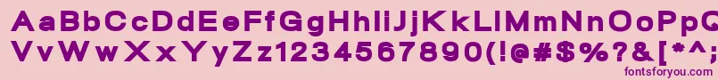 NeogramBlackextd Font – Purple Fonts on Pink Background