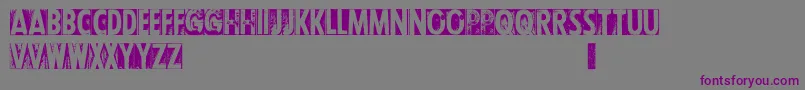 Police CfletterpresstypepersonalR – polices violettes sur fond gris